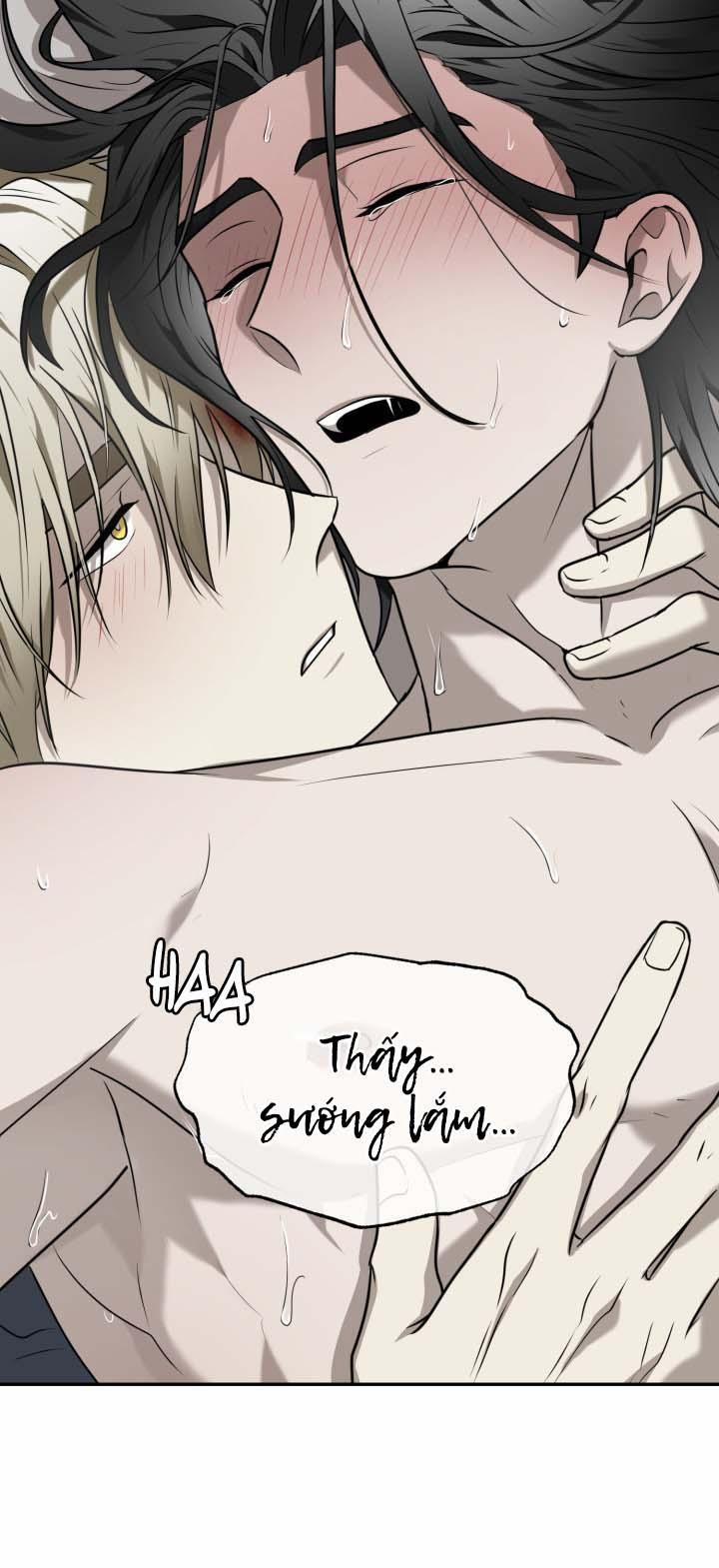 Vivarium 19 trang 25