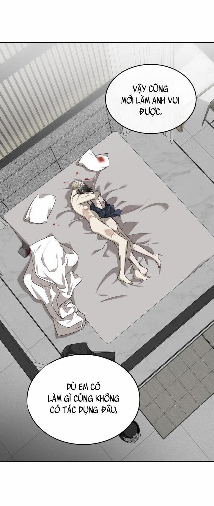 Vivarium 19 trang 29