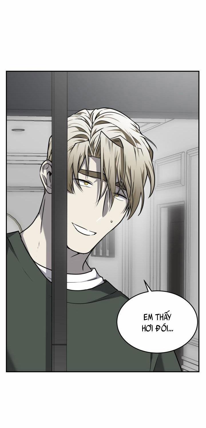 Vivarium 19 trang 41