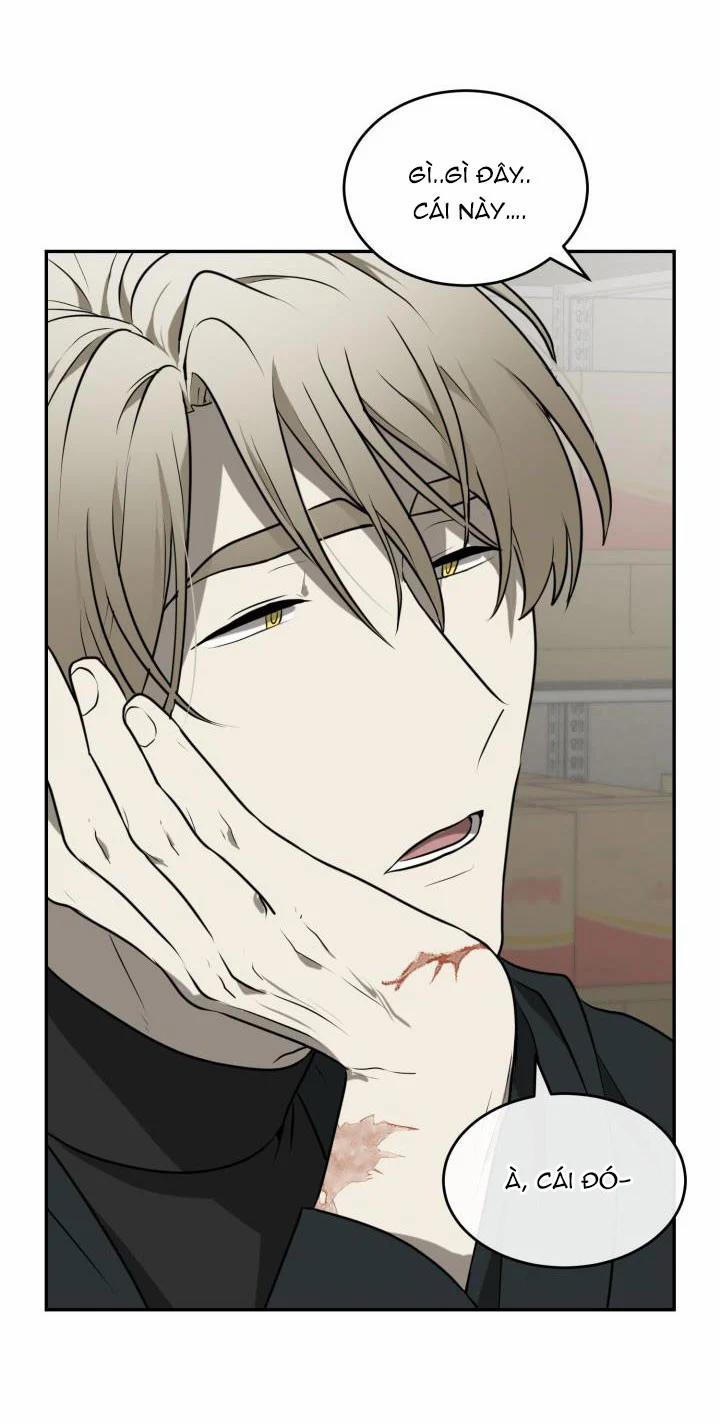 Vivarium 2.5 trang 0