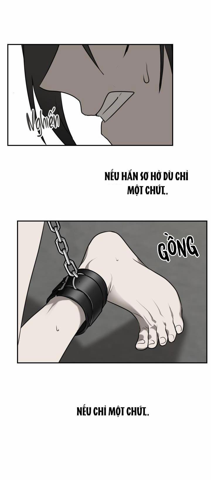 Vivarium 2.5 trang 13