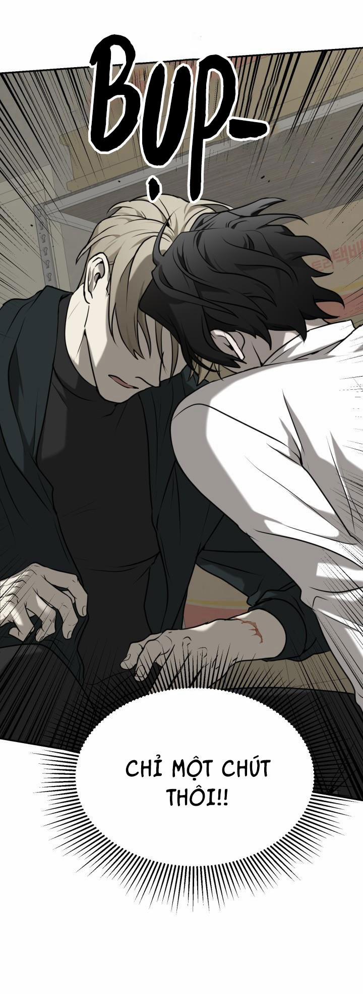 Vivarium 2.5 trang 14