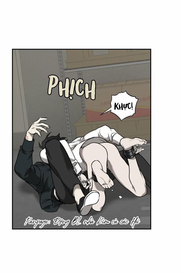 Vivarium 2.5 trang 15