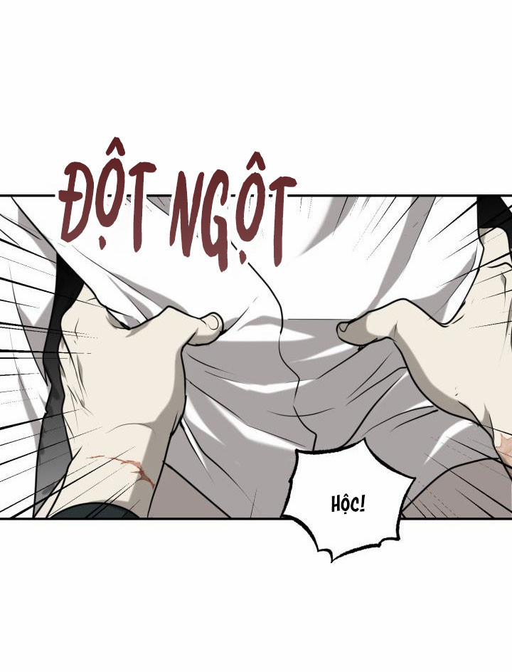 Vivarium 2.5 trang 18