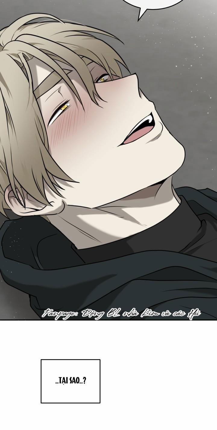 Vivarium 2.5 trang 20