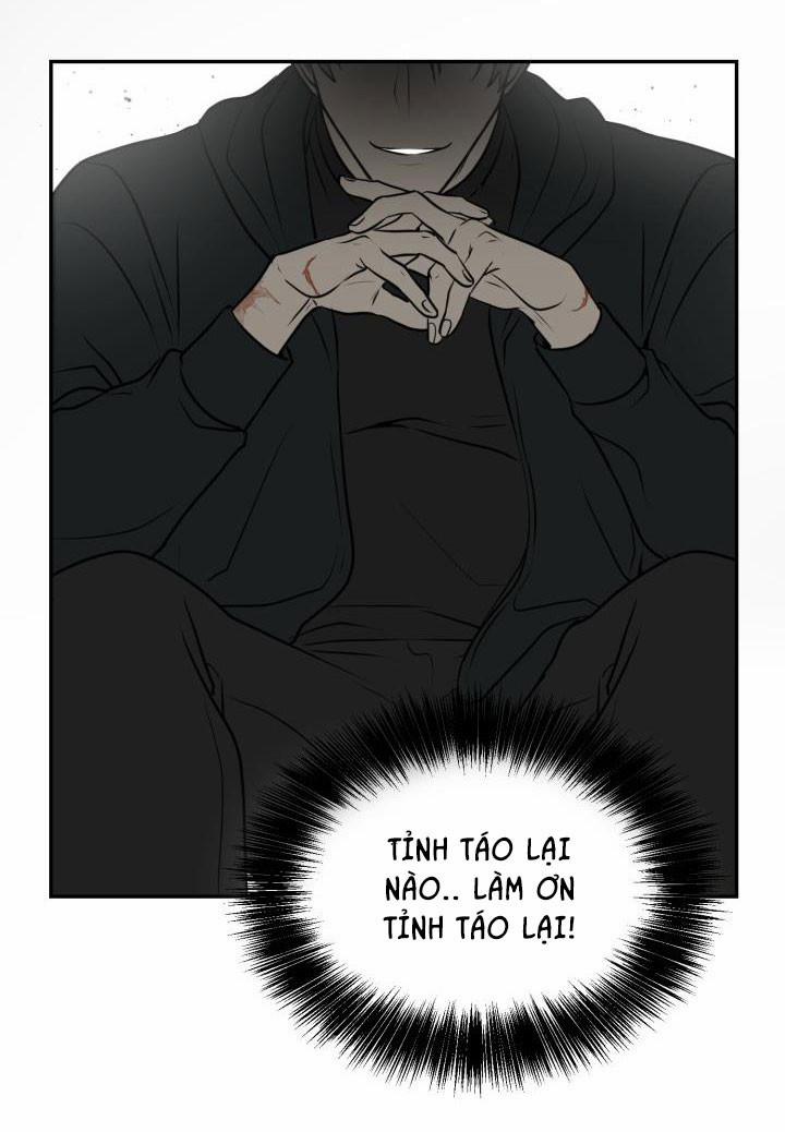 Vivarium 2.5 trang 4