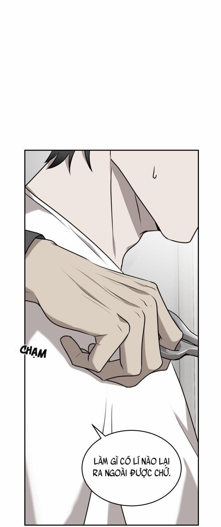 Vivarium 20 trang 11