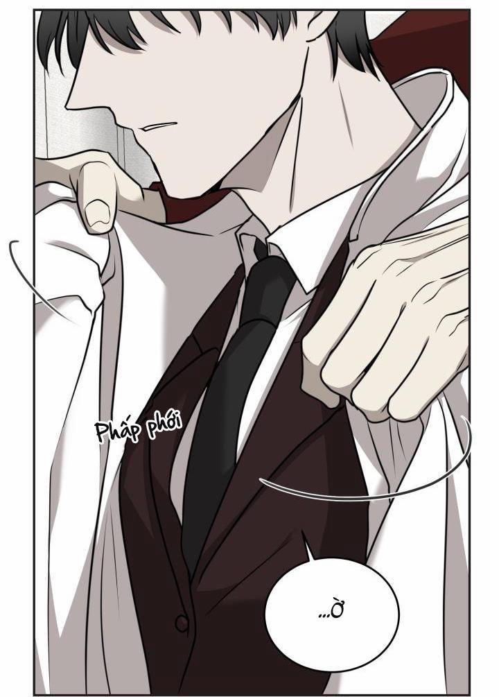 Vivarium 20 trang 20