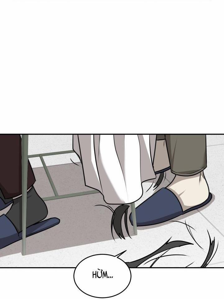 Vivarium 20 trang 21