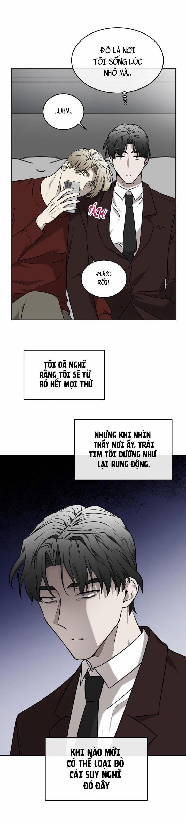 Vivarium 20 trang 31