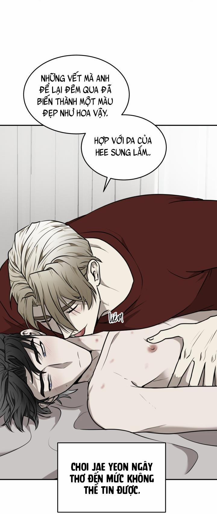 Vivarium 21 trang 17