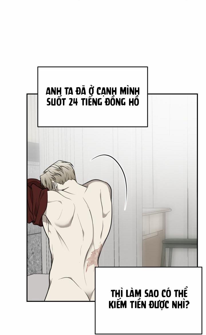 Vivarium 21 trang 19