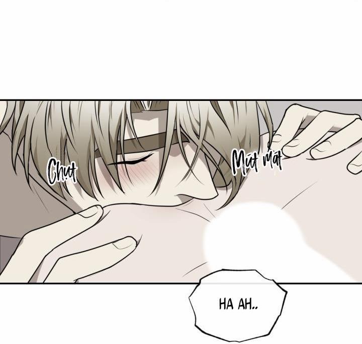 Vivarium 21 trang 20