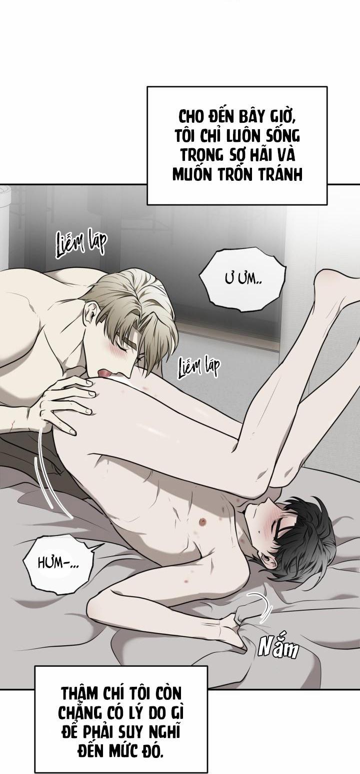 Vivarium 21 trang 21