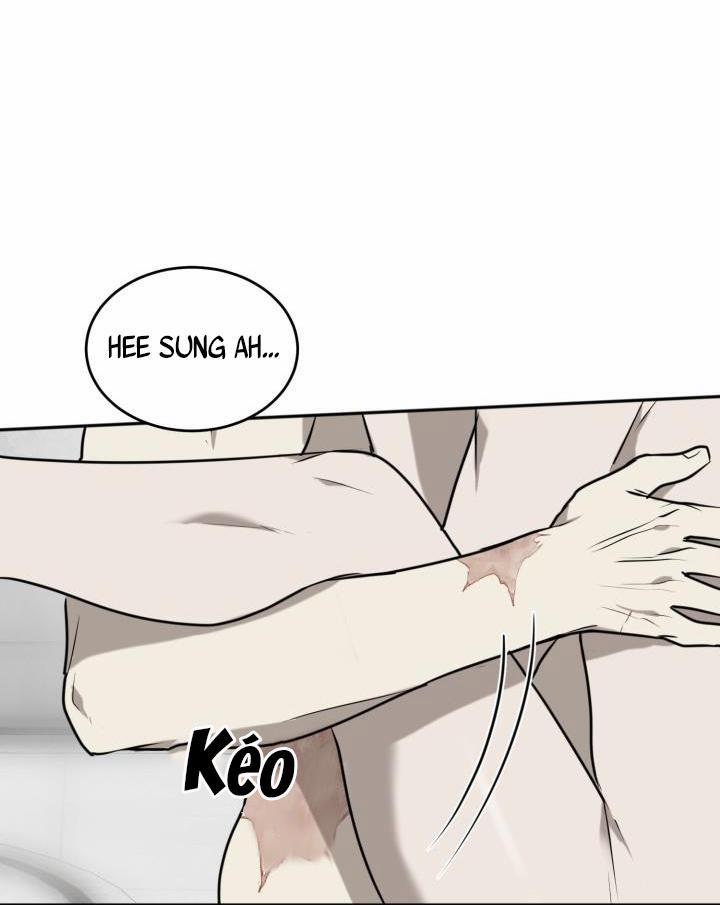 Vivarium 21 trang 26