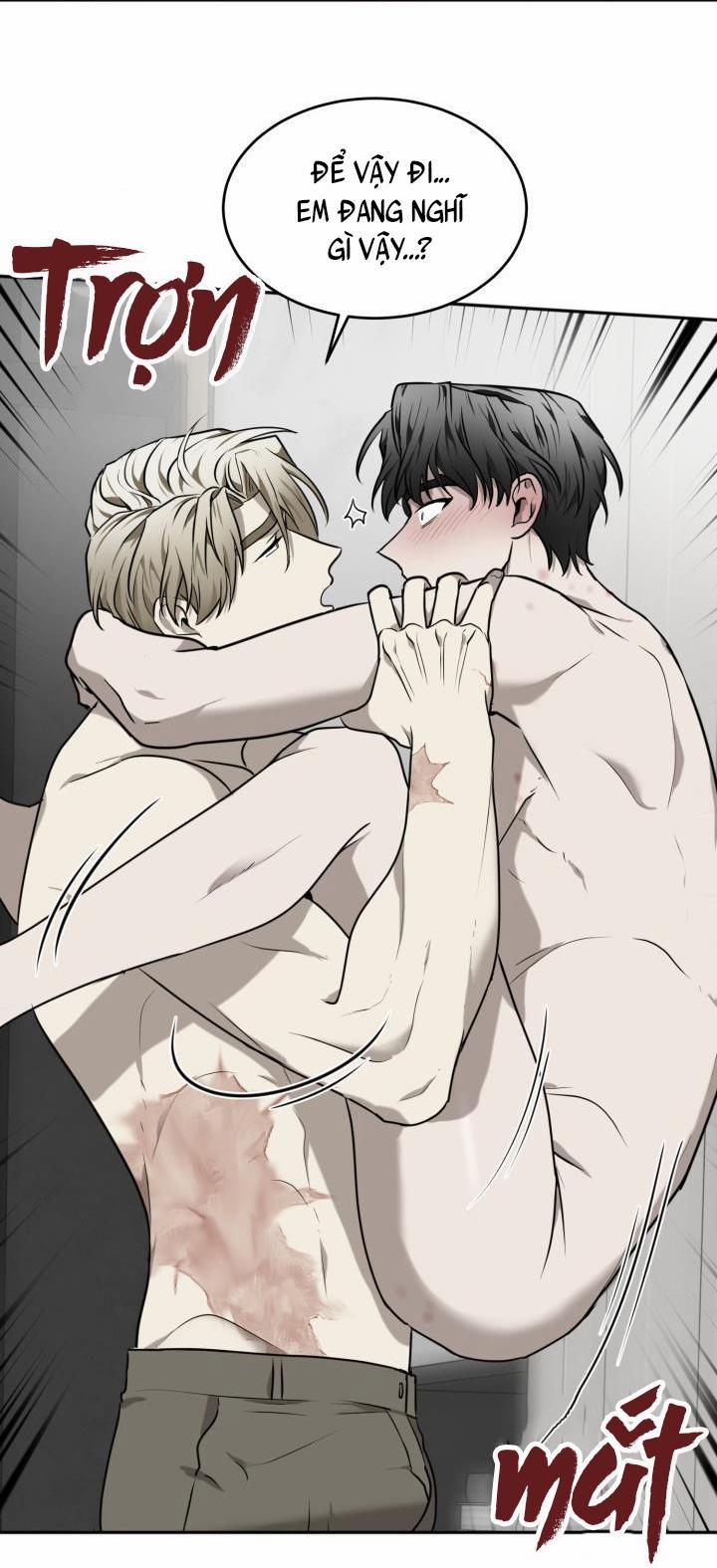 Vivarium 21 trang 27