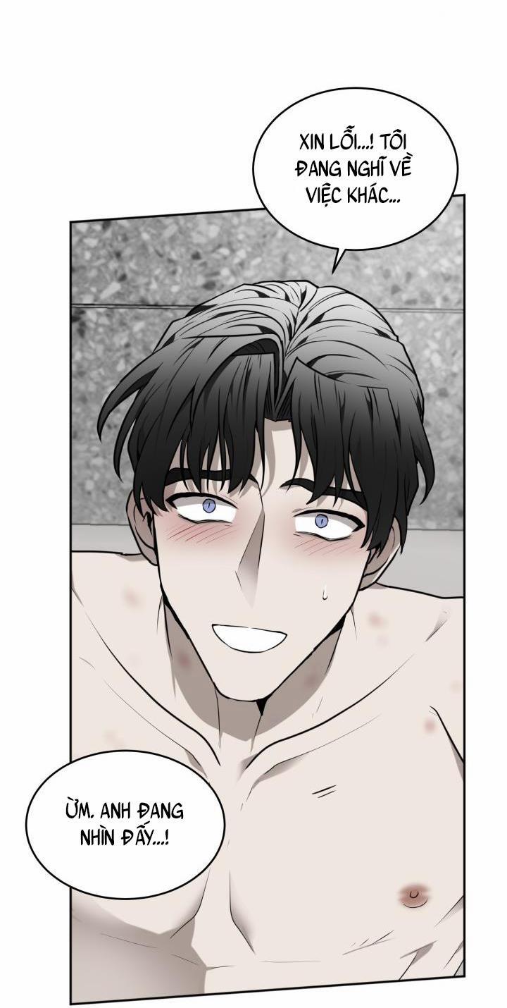 Vivarium 21 trang 28