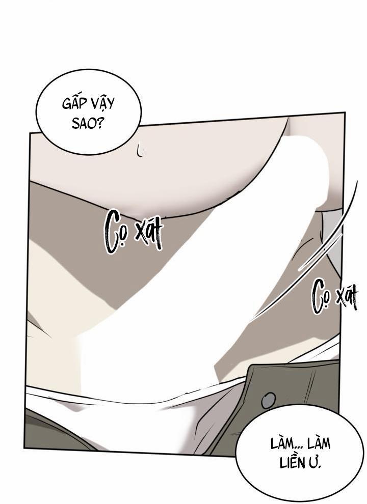 Vivarium 21 trang 29