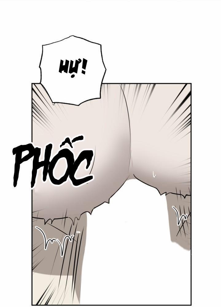 Vivarium 21 trang 31