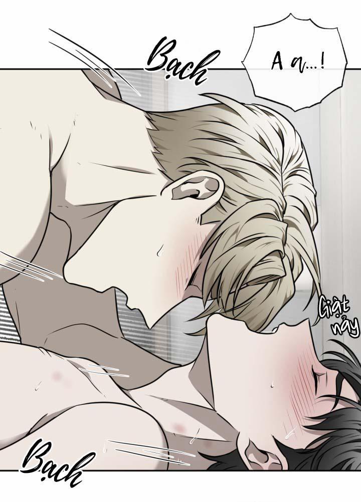 Vivarium 21 trang 37