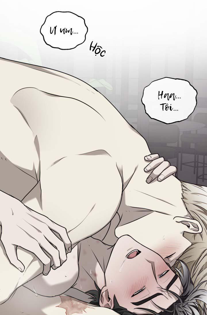 Vivarium 21 trang 40