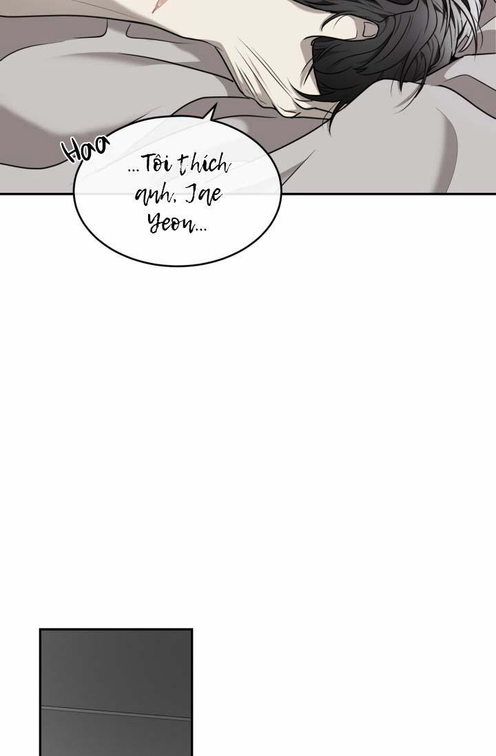 Vivarium 21 trang 41