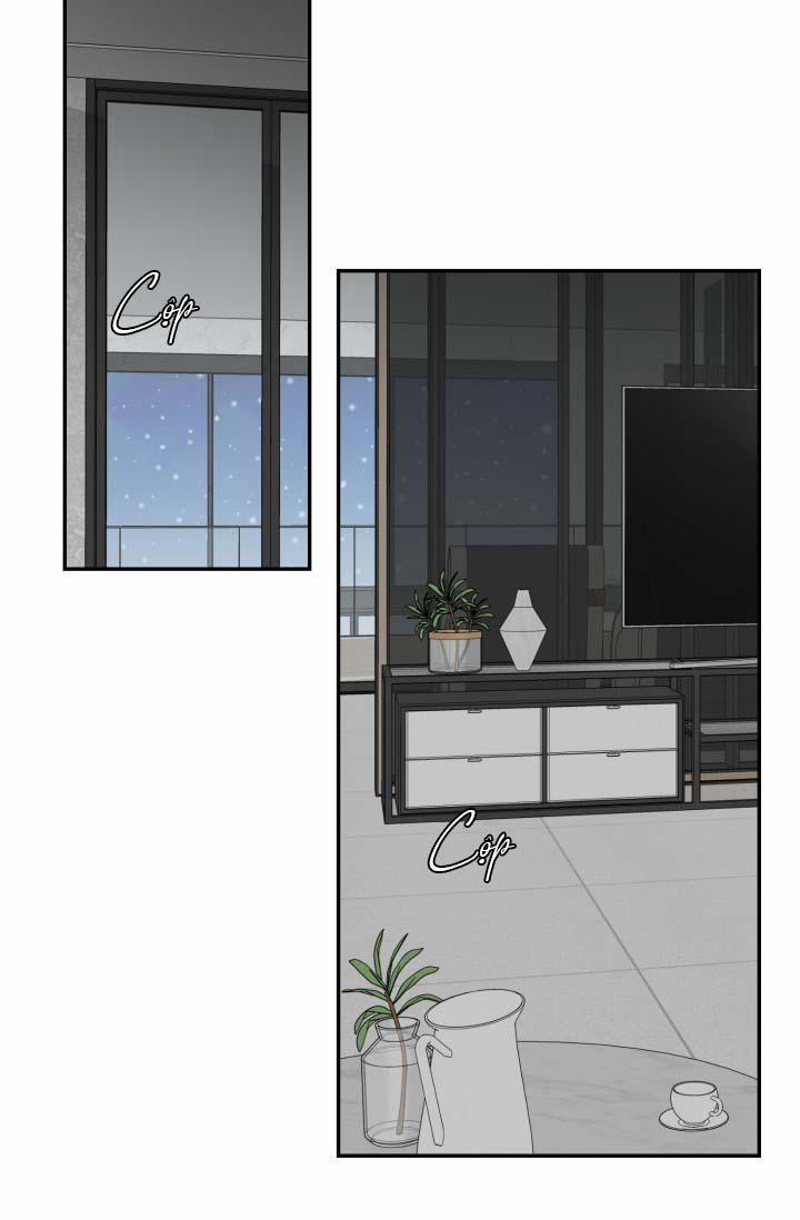 Vivarium 21 trang 42