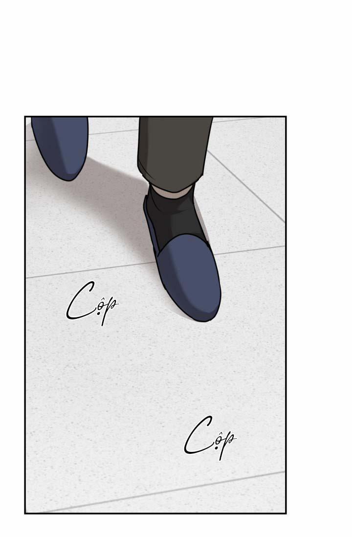 Vivarium 21 trang 43