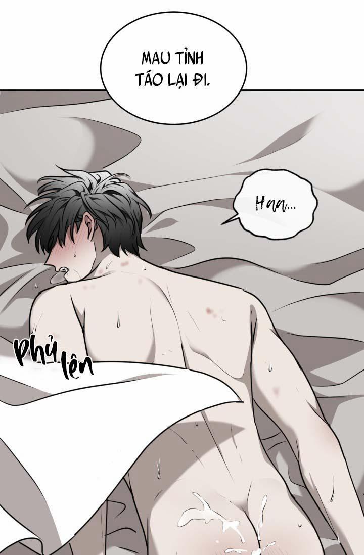 Vivarium 21 trang 45