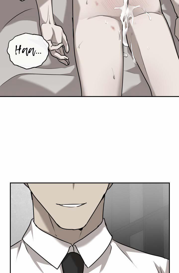 Vivarium 21 trang 46