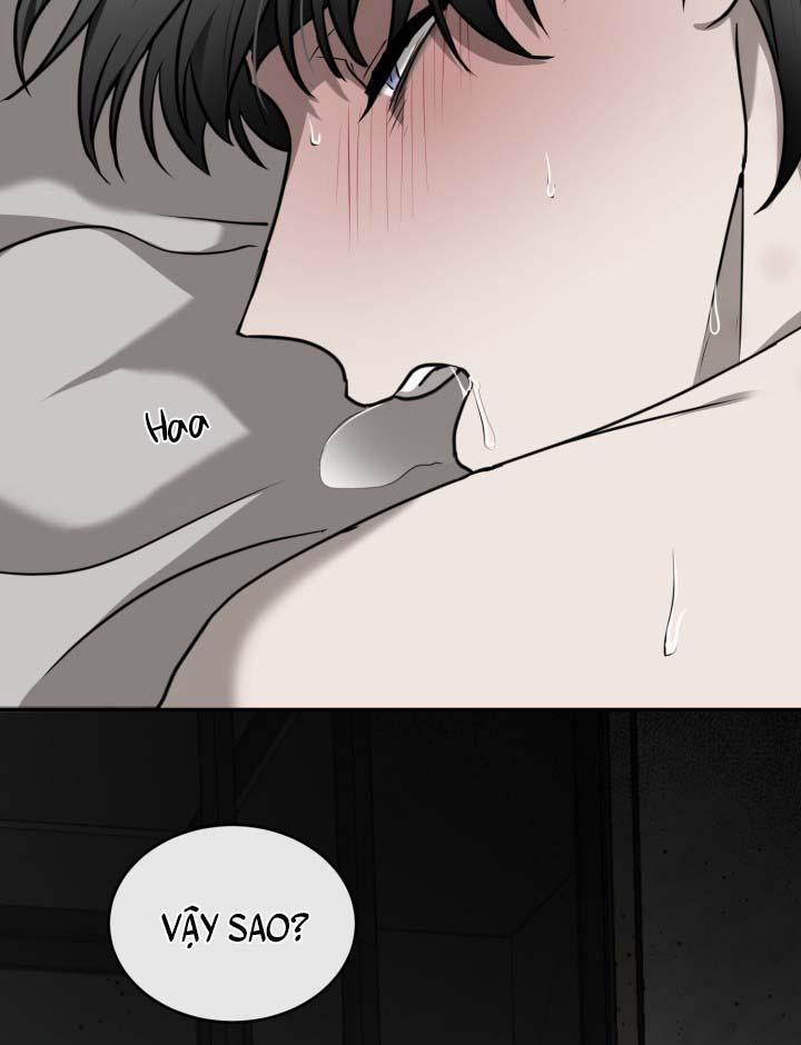 Vivarium 21 trang 48
