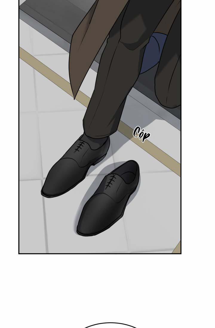 Vivarium 21 trang 55