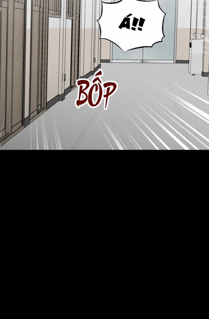 Vivarium 22 trang 35