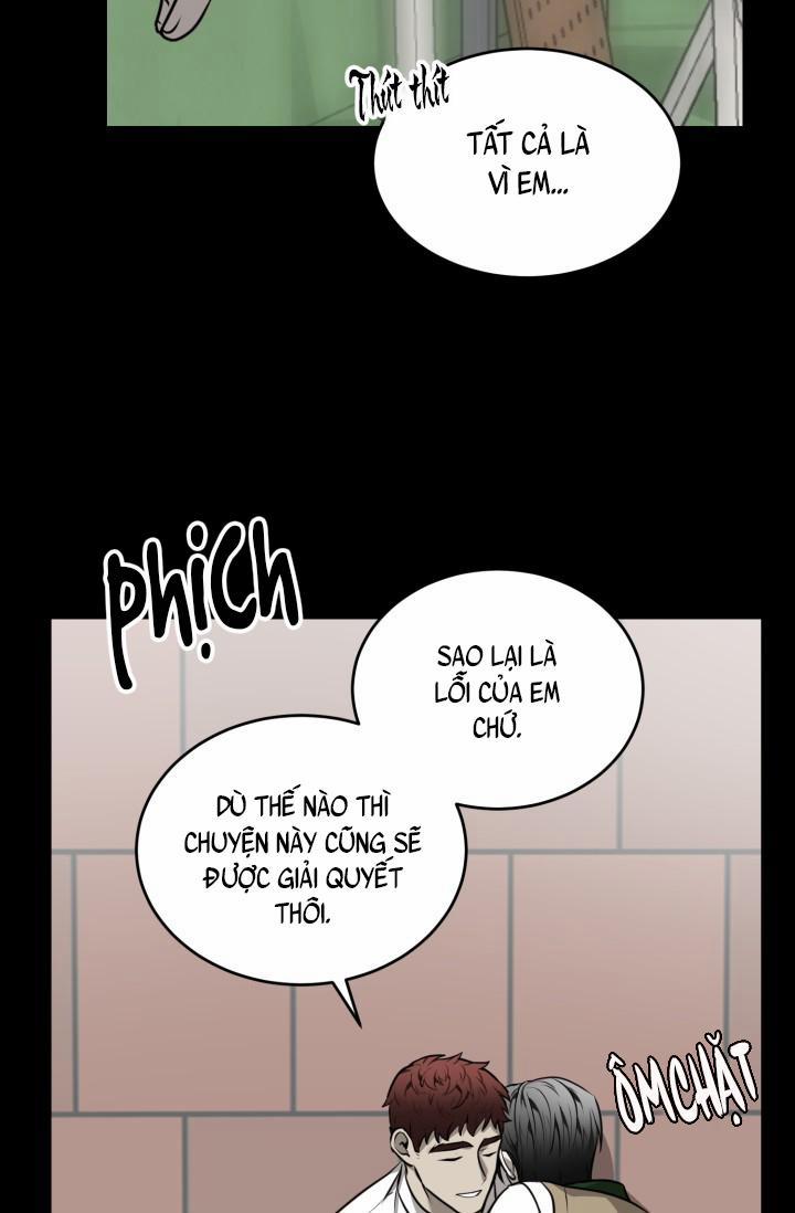 Vivarium 22 trang 43