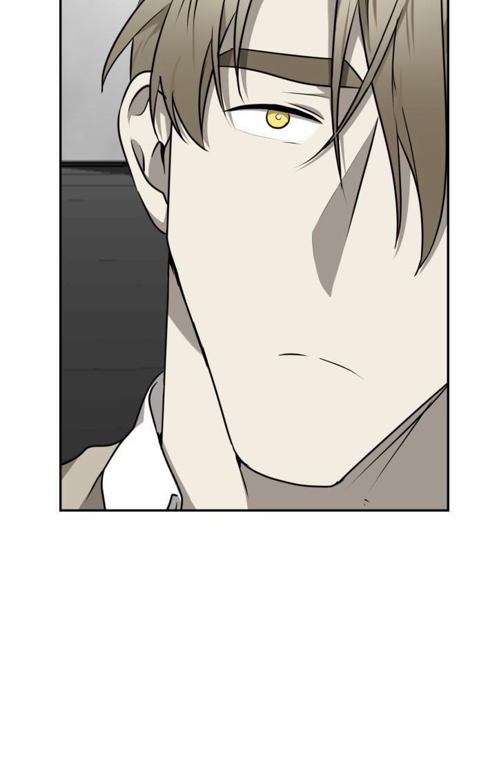 Vivarium 23 trang 21