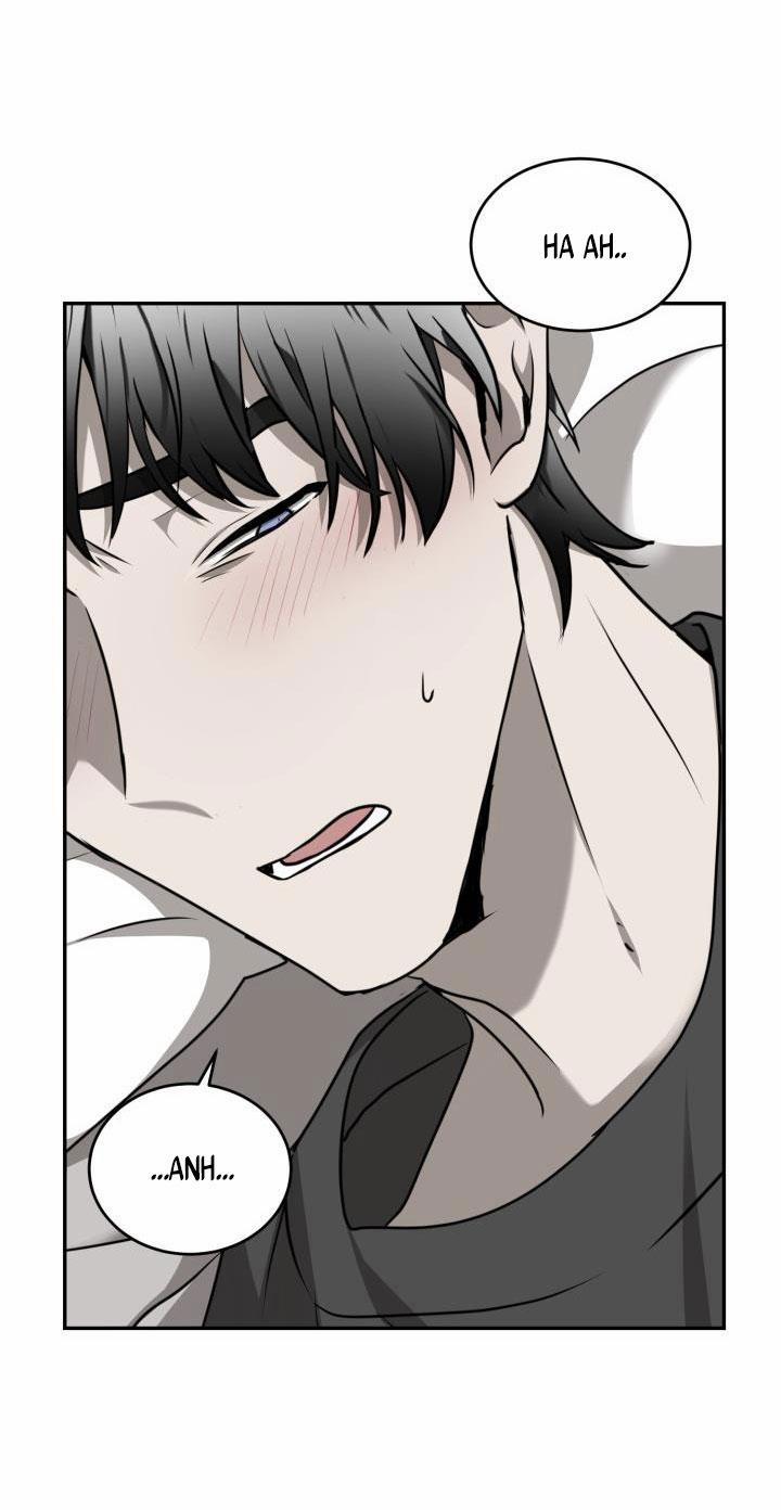 Vivarium 23 trang 62