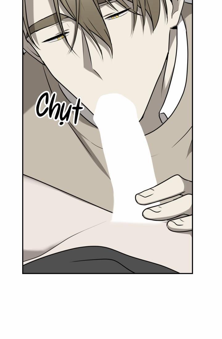 Vivarium 23 trang 65