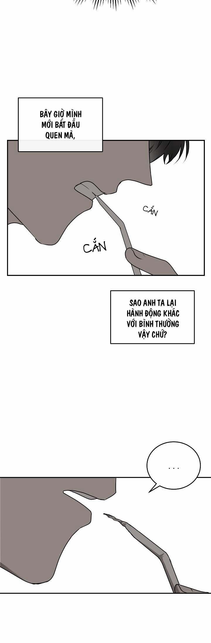 Vivarium 24.1 trang 16