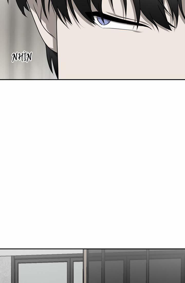 Vivarium 24.1 trang 2