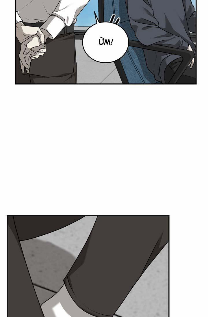 Vivarium 24.1 trang 29