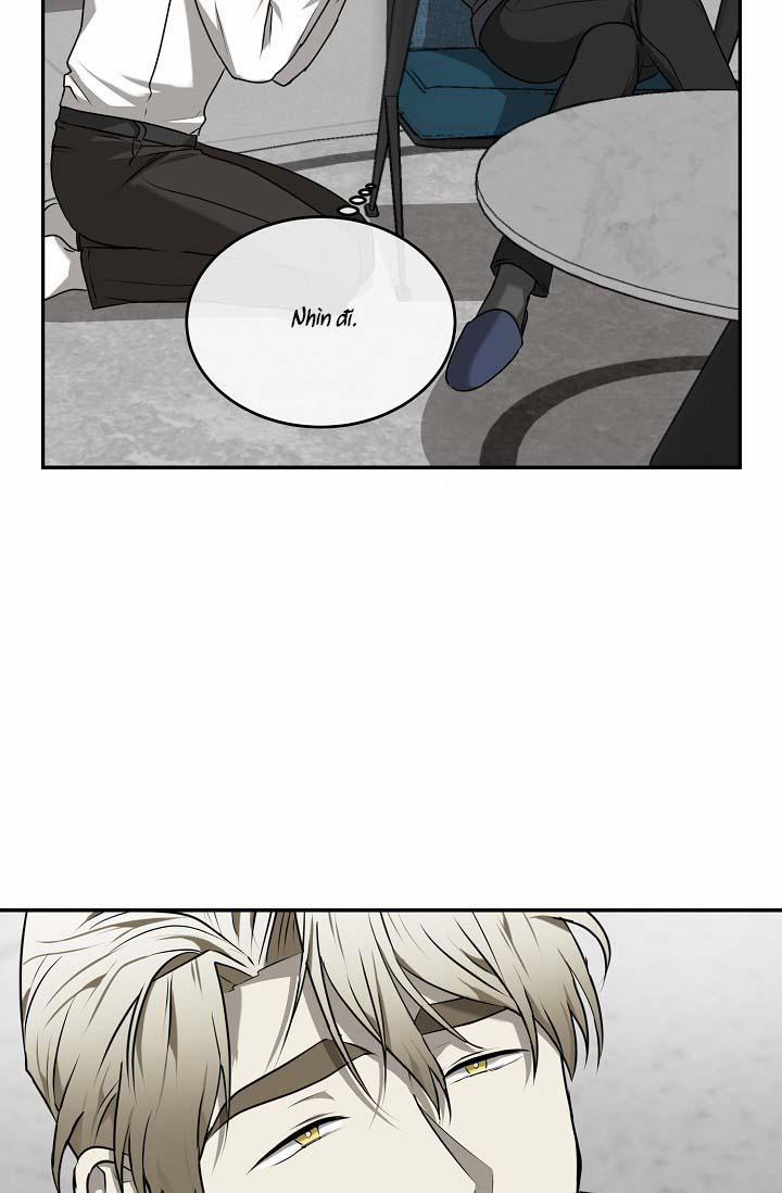 Vivarium 24.1 trang 34