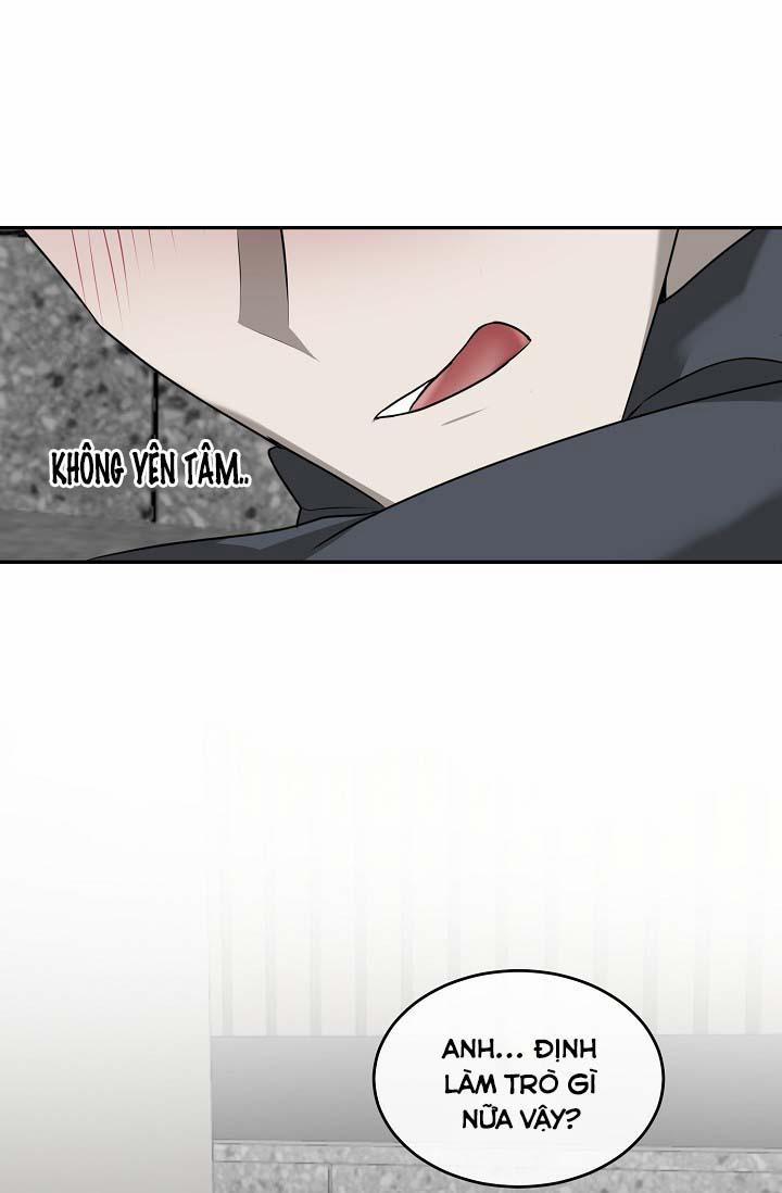 Vivarium 24.1 trang 61