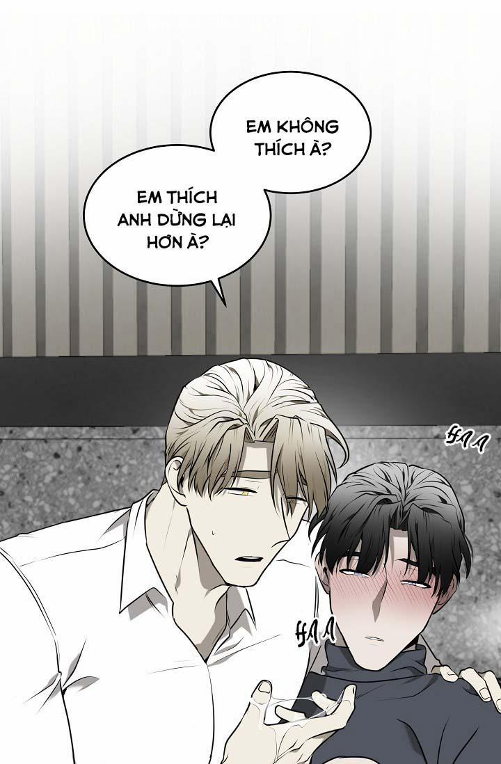 Vivarium 24.1 trang 66