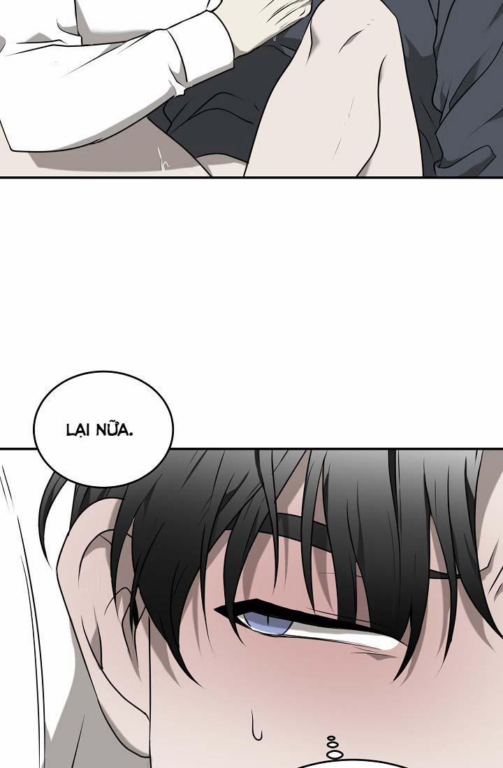 Vivarium 24.1 trang 67