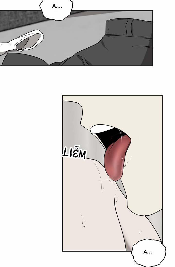 Vivarium 24.1 trang 71