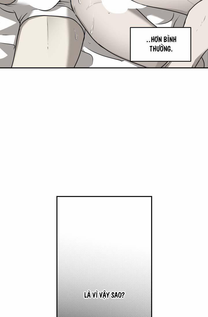 Vivarium 25 trang 11