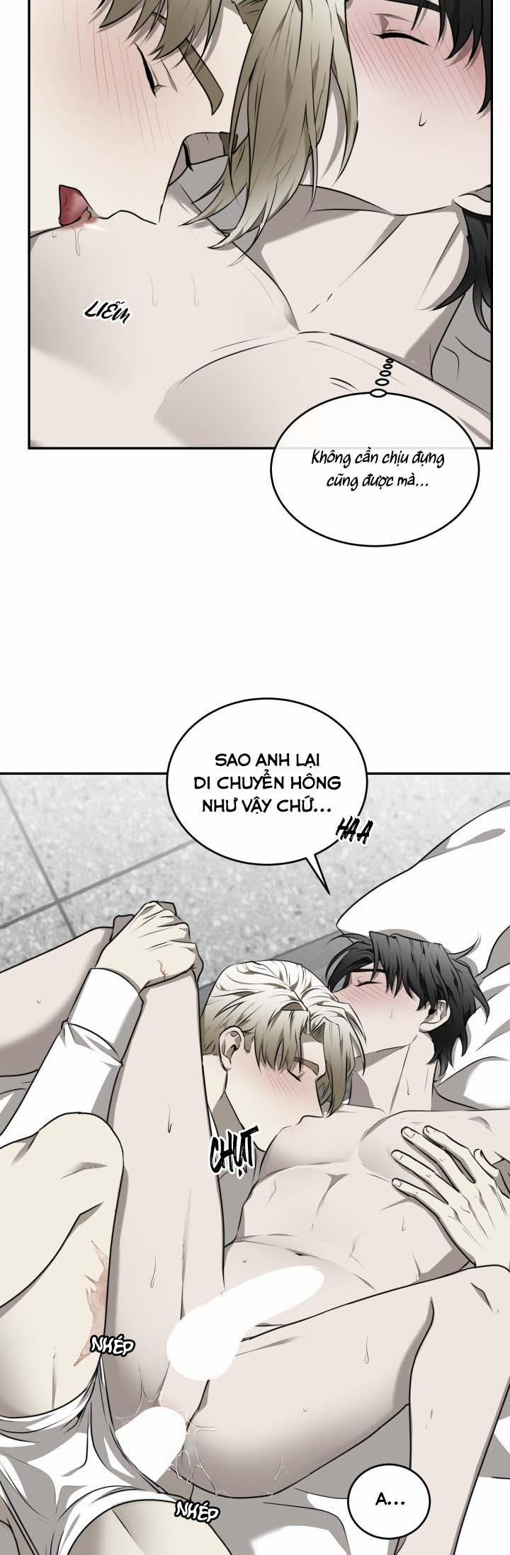 Vivarium 25 trang 17