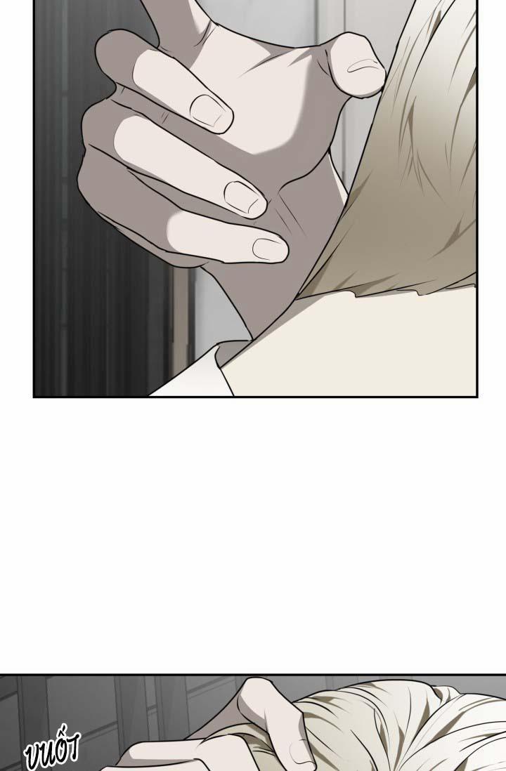 Vivarium 25 trang 19