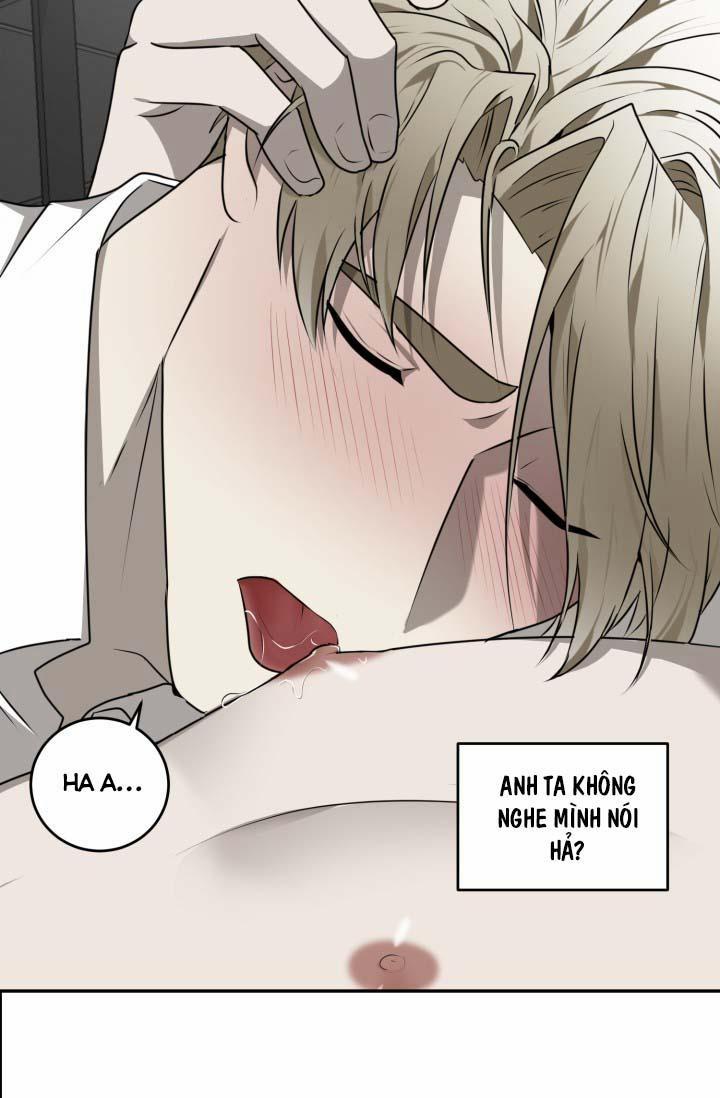 Vivarium 25 trang 20