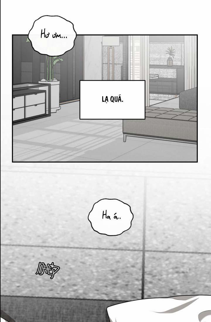 Vivarium 25 trang 21